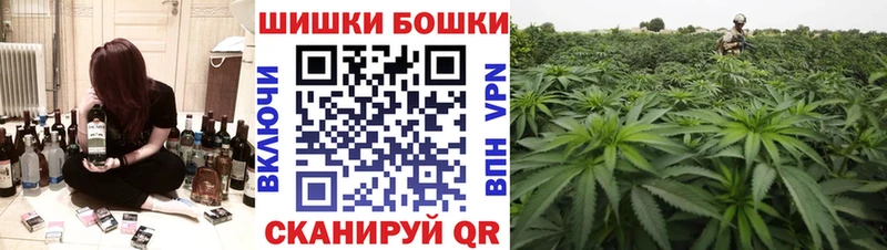 Бошки Шишки OG Kush  Купить закладки  Городец 
